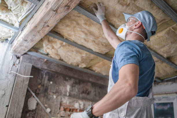 Best Specialty Insulation in Marceline, MO